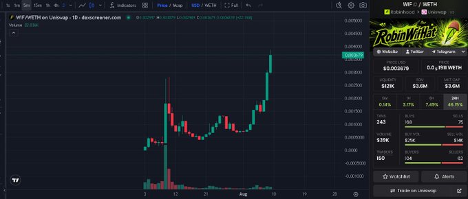 A TradingView chart displays WIF/WETH price action on Uniswap showing recent volatility, with a sidebar showing the 'RobinWifHat' token having a price of 0.003879, liquidity of $121K, FDV of $3.6M, and market cap of $3.6M.