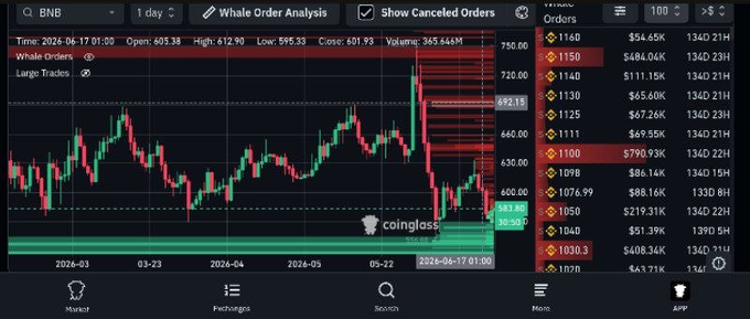 The image shows a stock trading app with various charts and symbols representing different stocks and indicators of interest. The bottom part of the screen focuses on displaying the "Whale Order Analysis" tool, which shows that the $BNB has opened orders for whaling whales or whale oil sales in the "$720 zone", indicating an opportunity to invest.