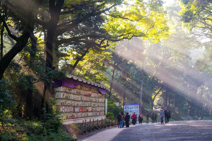 The image shows a group of people walking down a street, with sunlight shining through the trees behind them. The sun's rays are coming from the right side of the photo, creating a beautiful scene as they pass by a building or a temple-like structure. There is also an advertisement on display in front of this building, which adds to the overall atmosphere and interest of the image.
