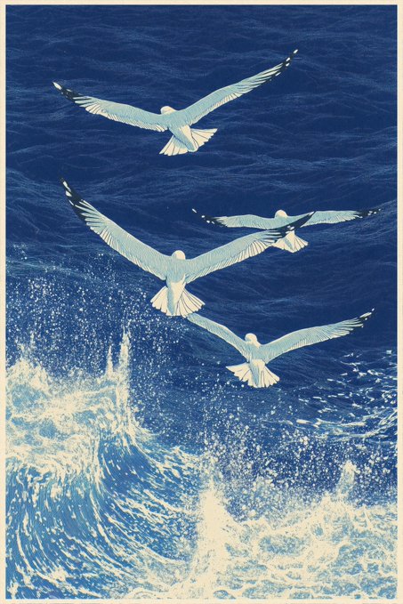 Four seagulls fly gracefully over crashing ocean waves with deep blue water.