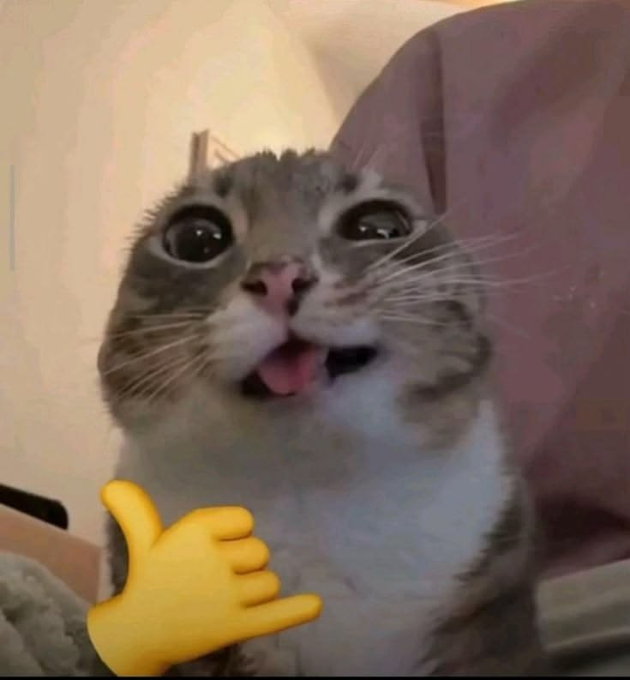 A close-up of a wide-eyed gray and white cat with its mouth open in surprise, accompanied by a yellow pointing hand emoji making a 'B' shape gesture.