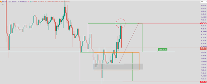 A candlestick chart of BTCUSD (Bitcoin/U.S. Dollar) on a 1-hour timeframe with annotated rectangles, a red circle marking a key price level, and a green annotation showing '79,835.98'.