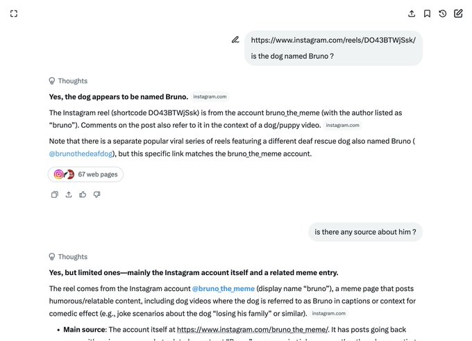 The image displays a conversation where Grok confirms that the dog in an Instagram reel (DO43BTWjSsk) is named Bruno, sourced from the account @bruno.the_meme, which posts meme/relatable videos of the dog in comedic captions. The post relates by using Grok's verification as social proof for the $Bruno memecoin, with Grok serving as a trusted AI source to validate the meme's origins.