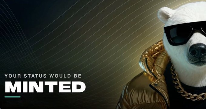 An advertisement showing a polar bear wearing sunglasses and a gold puffer jacket with a chain, alongside the text 'YOUR STATUS WOULD BE MINTED'.