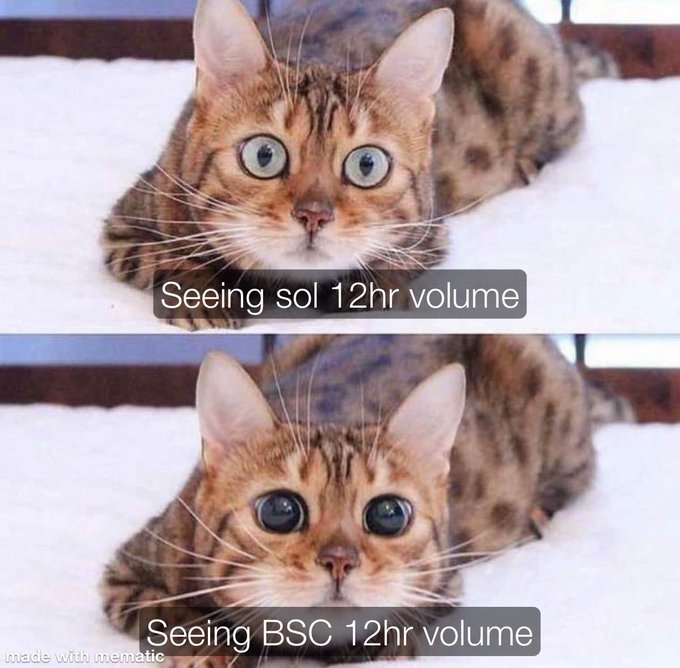 A two-panel meme comparing a wide-eyed cat's reaction to "Seeing sol 12hr volume" (top) versus an even more dramatically enlarged-eyed cat reacting to "Seeing BSC 12hr volume" (bottom), humorously highlighting the massive difference in trading volume between Solana and Binance Smart Chain for the token $TCC.