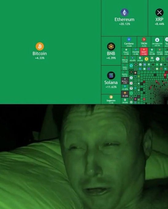 Meme image showing cryptocurrency prices (Bitcoin +4.33%, Ethereum +20.12%, XRP +8.44%, BNB, Solana, Dogecoin, Cardano, TRON) above a man's face bathed in green light.