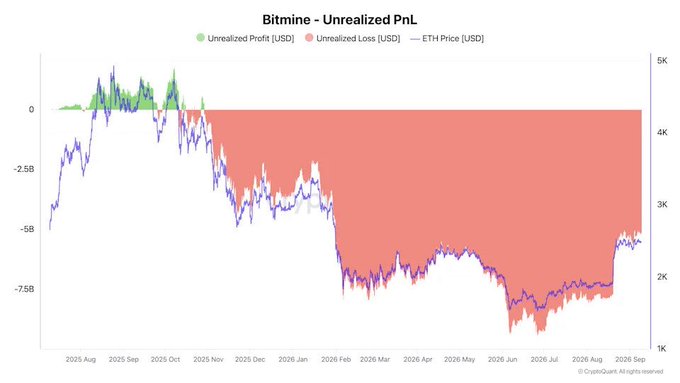 A financial chart titled 'Bitmine - Unrealized PnL' showing unrealized profit in green, unrealized loss in red, and ETH price in purple, displaying significant losses from mid-2025 through 2026.