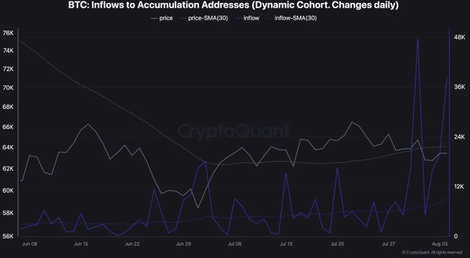 The image is a CryptoQuant line chart titled "BTC: Inflows to Accumulation Addresses (Dynamic Cohort. Changes daily)" displaying data from June 8 to August 3, with BTC price on the left axis ranging from $56K to $76K and inflow volumes on the right axis reaching up to 48K. The chart illustrates the recent sharp spike in inflows (blue line) to ~38K-48K BTC around August 3, supporting the post's claim of significant whale accumulation to accumulation addresses, though prices remain below the $70K distribution zone.