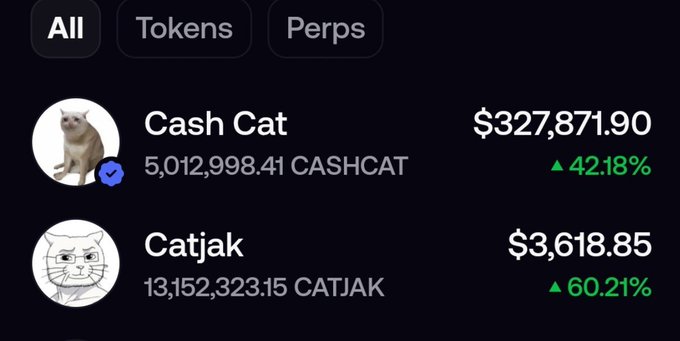 The image displays a portfolio with "Cash Cat" holding 5,012,998.41 CASHCAT valued at $327,871.90, and "Catjak" holding 13,152,323.15 CATJAK valued at $3,618.85. This visually supports the post's claim about the top $CASHCAT holder accumulating $CATJAK.