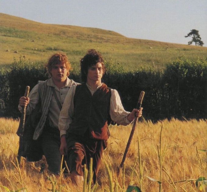 Two hobbits walking through a golden grassy field with walking sticks in a scene from a fantasy film, likely The Lord of the Rings.