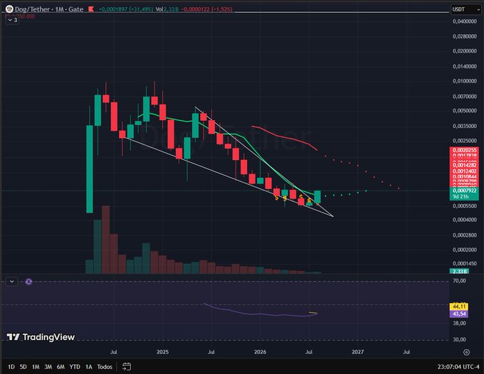 A TradingView monthly candlestick chart for DOGE/Tether (DOGEUSDT) on Gate.io shows a downtrend within a falling wedge pattern, with the RSI indicator at 46.11 in the lower panel.