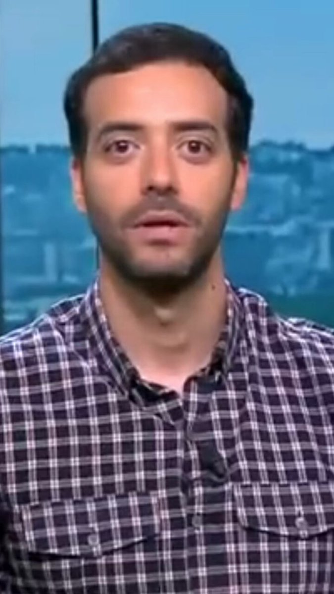 The image features a man wearing a plaid shirt, with his face clearly visible against a blue background. He appears to be looking directly at the camera, engaging the viewer with his expression. The caption below the photo reads "POV: you are an ETH whale". This suggests that the image is likely related to a discussion or interview about ethical treatment of animals in the context of whale watching experiences.