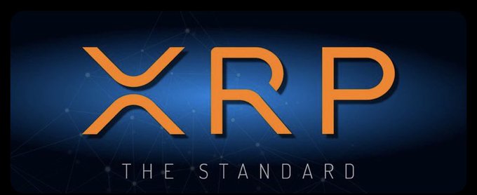 The image displays the XRP logo in orange against a dark blue background with the tagline "THE STANDARD," symbolizing XRP's resilience and status in the crypto space, which aligns with the post's celebration of the XRP community holding strong through a difficult market period and now breaking free.