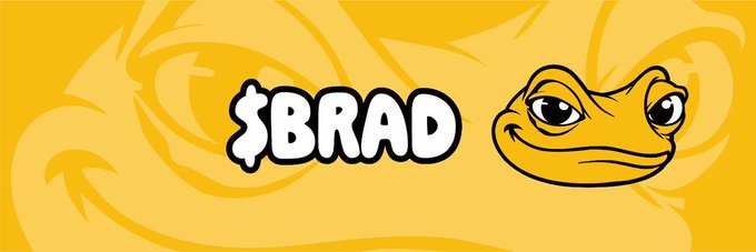 "The Yellow Storm of BNB Chain. 0x3db1b406a4d50a841948765685ed42ed1f174444 $BRAD - The yellow frog is here to dominate all memes. Brad is not a".