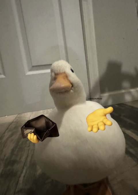 A white duck edited to have cartoon hands holding a wallet of SOL while extending another hand outward, symbolizing a giveaway. The watermark "@duckofficial" is visible on the duck. The image humorously illustrates the post's announcement of a 1 SOL giveaway, with the duck appearing to offer or hand out the crypto.