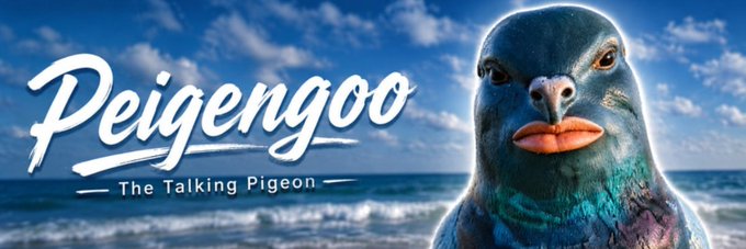 The banner for Solana token $Peigengoo features a close-up of a pigeon with iridescent blue-green plumage and bright orange beak against a beach backdrop, alongside the text "Peigengoo — The Talking Pigeon." The image ties directly to the token's name and branding, suggesting a meme or novelty cryptocurrency centered around a charismatic pigeon character.