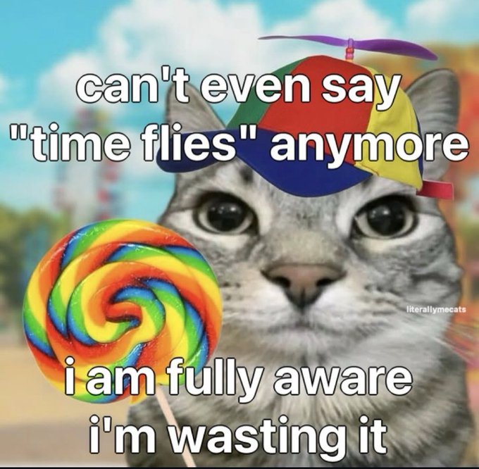 A crying cat meme wearing a propeller hat with a rainbow swirl lollipop, captioned 'can't even say "time flies" anymore' and 'i am fully aware i'm wasting it'.