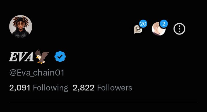 The image shows a Twitter/X profile for @Eva_chain01 with 2,822 followers and 2,091 following, featuring the name "EVA" with an eagle and verified badge. The user is expressing surprise that they haven't yet reached the 3,000 follower milestone they anticipated, and they hint at cleaning up inactive accounts to boost their numbers.