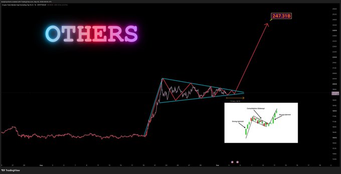 A TradingView chart of $OTHERS displays a bullish descending triangle pattern with an annotated upside target of 247.31B, visually reinforcing the post's expectation of a near-term breakout that would signal an altcoin rally.