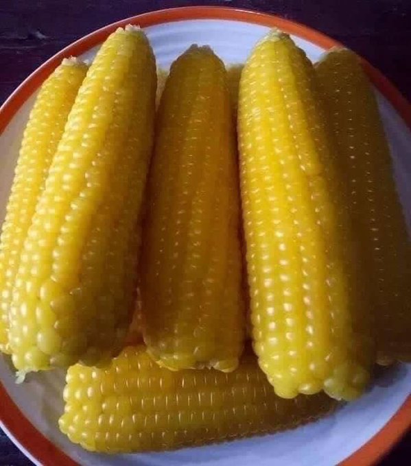 Four ears of bright yellow corn served on a white plate with an orange rim.