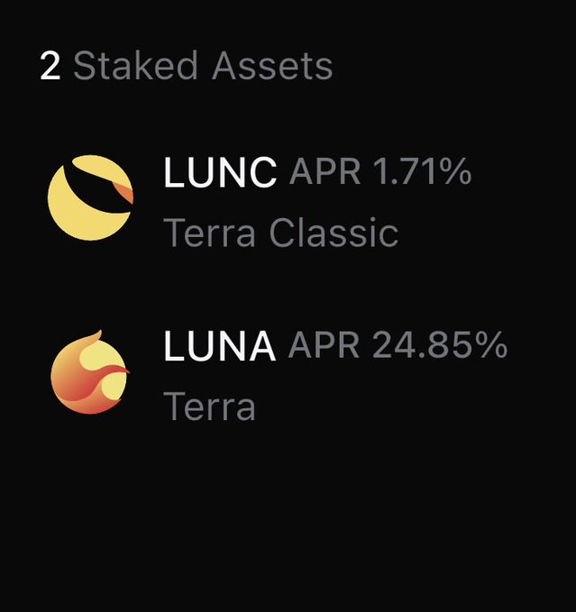 The image shows a screenshot from an eCommerce site displaying two logos, one for Lunc (a cryptocurrency) and another for Lunna. The logos are positioned side by side with their respective names written below them. Below this, there's a caption stating that they were bought on the same day at a rate of 1.7% (or $LUNC). The caption further provides details about these assets: "We bought Lunc and Lunna. Why? Because Lunc Landia has the 9 angles of domination. It has some juicy yield. And We Cometh... - - - - - - - - - -". The image focuses on both the logos and the associated transaction information, highlighting the buyer's interest in these assets.