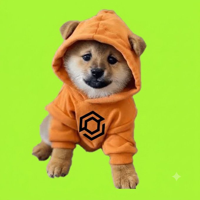 An adorable Shiba Inu puppy wearing an orange hoodie with a small logo, photographed against a bright green screen background.