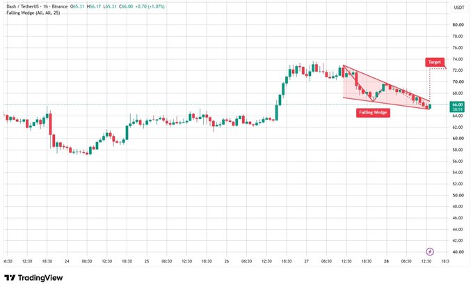 A TradingView chart of Dash/TetherUS on Binance showing a falling wedge pattern with a target level marked near $73, currently priced at $66.00 (-0.70%).