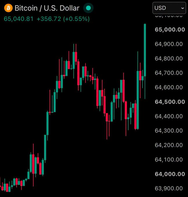A Bitcoin/U.S. Dollar candlestick chart showing BTC at 65,040.81, up +356.72 (+0.55%).