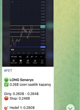 The image shows a screenshot of a trading app on an iPhone displaying information about several stocks. The top part of the screen displays the stock price for two ticker symbols, which are represented by dollar signs. The middle portion of the screen has various data such as stock quotes and other relevant information. On the right side of the screen, there is text displayed that provides a description related to trading in foreign markets. The image also includes details about a girl's account, including her name, account balance, and the amount she has invested.