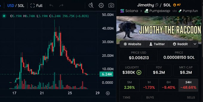 Crypto price chart for "Jimothy the Raccoon" (Jimothy / SOL) showing a price of $0.006213 and a sharp downward 24H trend of -48.66%.
