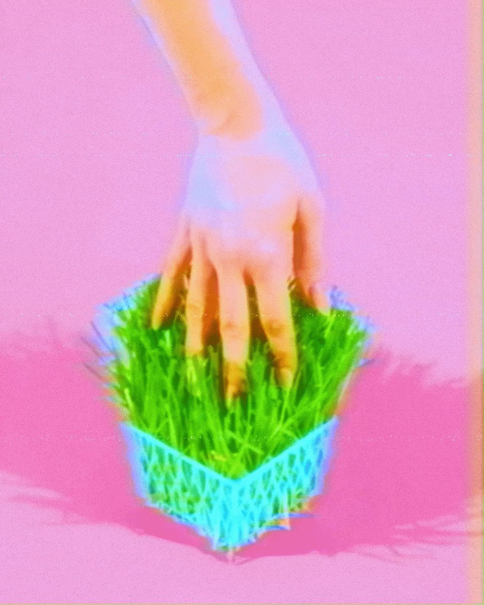 None