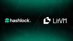 Two logos displayed on a dark green background: 'hashlock' with a green padlock icon and 'LitVM' with a white flame icon.