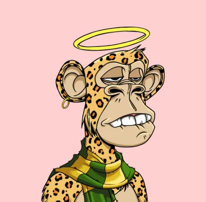A digital illustration of a cartoon leopard character with a gold halo above its head, wearing a green and yellow scarf, set against a pink background.