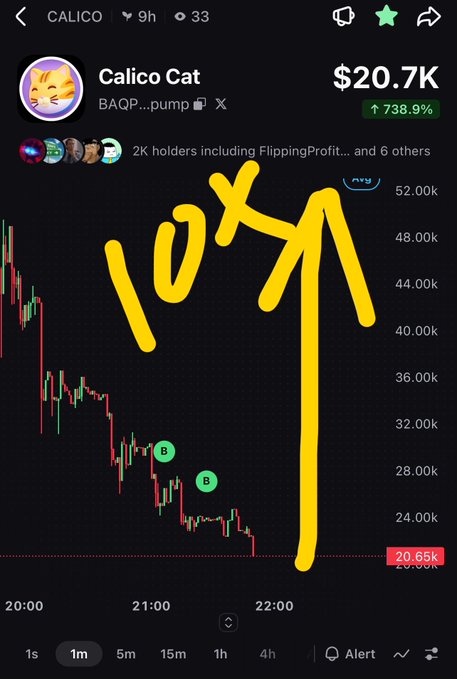 A cryptocurrency chart for 'Calico Cat' showing a market cap of $20.7K with a 738.9% increase, featuring hand-drawn yellow annotations including '10X' and 'B' markers.
