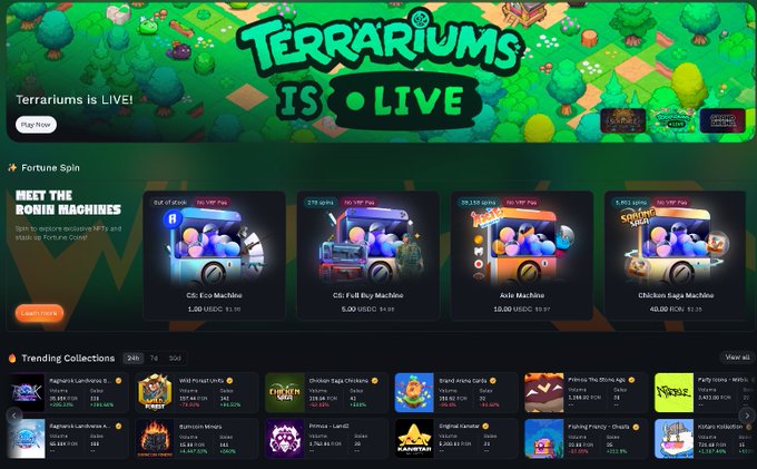 A screenshot of the Terrariums online casino homepage featuring a 'Fortune Spin' bonus machines section and trending collections like Dog House, Reactoonz, and Wanted Dead or a Wild.