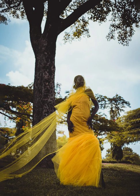 A woman in a flowing yellow gown with a long veil poses dramatically beneath a large tree. The low-angle shot captures sunlight filtering through the leaves, creating a silhouetted effect against the sky.