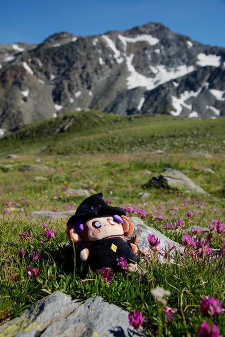A small plush doll wearing a black witch hat sits among pink wildflowers in an alpine meadow, with snow-dappled mountains in the background.