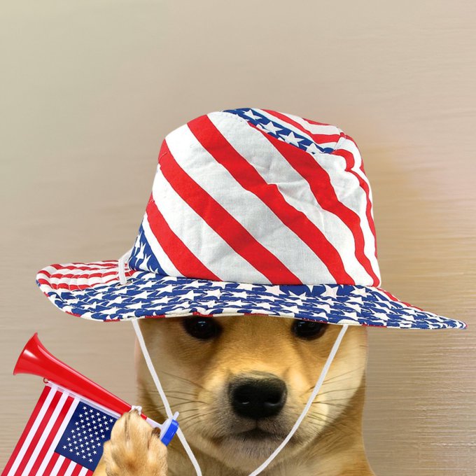 A dog wearing an American flag-patterned bucket hat holds a small American flag and a red air horn, perfectly capturing the patriotic spirit of "happy 4th."