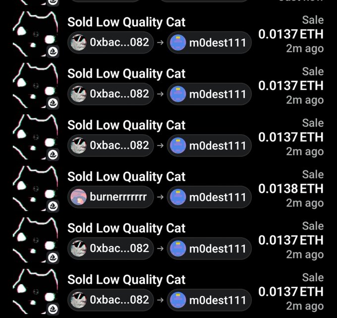 A screenshot of NFT transaction history showing m0dest111 purchasing multiple "Low Quality Cat" NFTs for around 0.0137 ETH each (with one at 0.0138 ETH) from sellers 0xbac...082 and burnerrrrrr within the past 2 minutes, illustrating the "sweeping" activity referenced in the post ahead of an anticipated reveal.