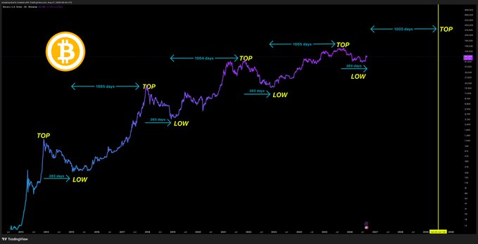 A line chart displays Bitcoin's price cycles over time on a dark background, with annotations marking "TOP" and "LOW" points along with specific day counts between them.