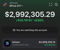 A screenshot of a crypto wallet portfolio shows “$Pnut $17” with a total balance of $2,992,305.29, up $24,797.67 (+0.84%). The largest holding is Solana (SOL), worth $2,909,255.15; the post asks viewers who quickly contributed $10 to “drop your sol addys.”