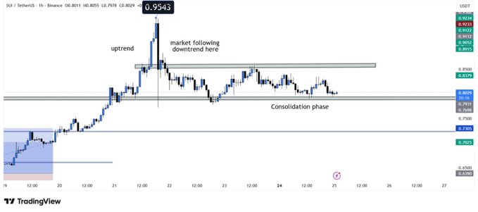 The image is a TradingView chart of SUI/USDT showing the cryptocurrency's price action with annotations highlighting a prior uptrend, a following downtrend, and a current consolidation phase between roughly $0.79 and $0.85. Key levels including 0.9543, 0.8500, 0.8000, 0.7920, and 0.7280 are marked, with the price currently trading around $0.80—consistent with the post's view that SUI is consolidating near support at $0.79 and needs a breakout above $0.85 to target the $0.89–$0.92 zone.