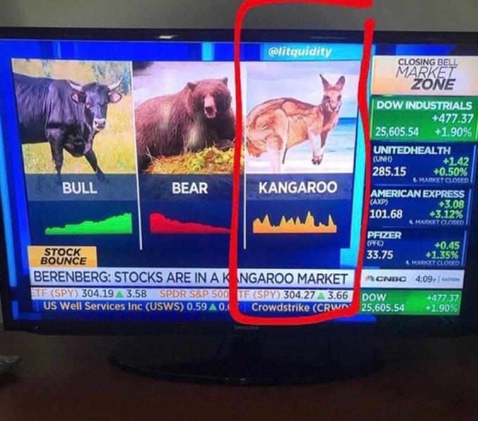 A CNBC stock market graphic humorously labeling traditional bull and bear market indicators alongside a kangaroo, with a banner reading 'BERENBERG: STOCKS ARE IN A KANGAROO MARKET' showing Dow Industrials at 25,605.54 (+1.90%).
