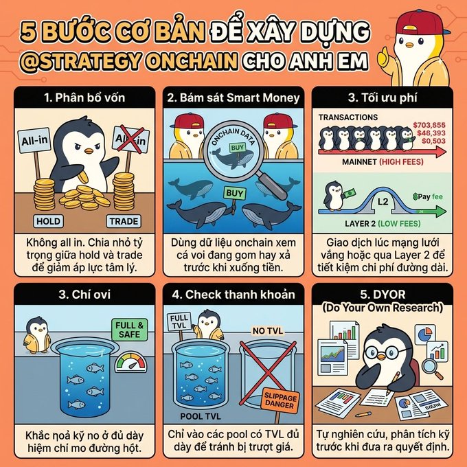 An infographic titled '5 BƯỚC CƠ BẢN ĐỂ XÂY DỰNG @STRATEGY ONCHAIN CHO ANH EM' illustrating five basic steps for building an on-chain crypto investment strategy with cartoon penguin characters, covering capital allocation, smart money tracking, fee optimization, diversification, liquidity checking, and DYOR (Do Your Own Research).