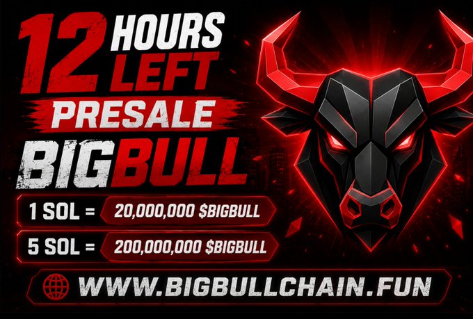 The image is a promotional graphic for the $BIGBULL token presale, featuring a fierce black and red bull logo and highlighting a "12 HOURS LEFT" countdown with exchange rates of 1 SOL = 20,000,000 $BIGBULL and 5 SOL = 200,000,000 $BIGBULL, directing viewers to www.bigbullchain.fun.