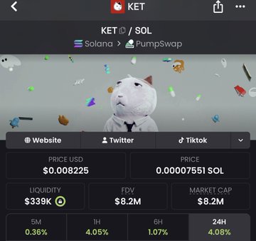 A DexScreener chart shows the KET/SOL token on Solana/PumpSwap trading at $0.008225 with $339K liquidity and an $8.2M market cap, featuring a cartoon cat mascot amid floating 3D icons. The chart reinforces the post's bullish claim by displaying a 24H gain of 4.08% alongside positive 5M and 1H price movements of 0.36% and 4.05%, hinting at early momentum building toward a potential breakout.