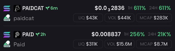 A cryptocurrency tracking dashboard displays two related tokens—"PAIDCAT" at $0.00032836 (up 611% in 24h, $283K market cap) and "PAID" at $0.008837 (up 21,000% in 24h, $8.7M market cap)—visually reinforcing the "We getting $PAID" sentiment by showcasing dramatic recent gains across the PAID ecosystem tokens.