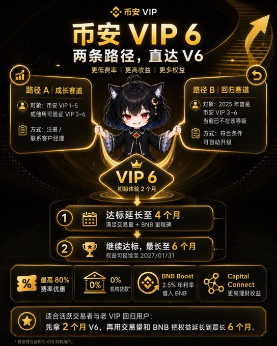 A Chinese promotional graphic for '币安VIP 6' (Binance VIP 6) details two paths to reach V6 status, featuring an anime-style character with cat ears and information about fee discounts, BNB Boost, and extended benefits.