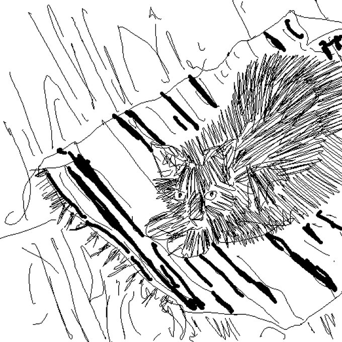 A black-and-white sketch of a fluffy cat peeking out from behind a striped, log-like structure with detailed crosshatching and expressive eyes.