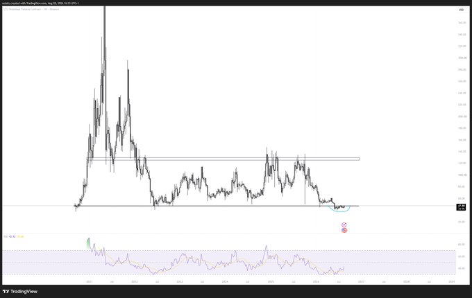 A TradingView chart of Litecoin (LTCUSD) on the Bitstamp exchange shows a long-term price history spanning from 2017 to 2025, featuring a dramatic late-2017 spike to roughly $350 followed by a prolonged downtrend consolidating in the $50-100 range, with an RSI indicator below and horizontal support lines marking key price zones. The chart visually supports the poster's bullish sentiment by displaying a multi-year consolidation pattern that could signal an impending breakout, fitting their promise of an upcoming bull case for Litecoin.